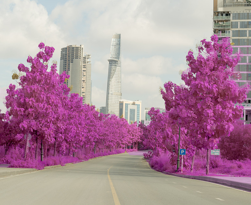 红外景观照片:胡志明市中心地区的景观。