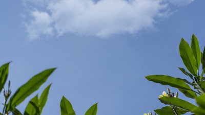 叶框天空