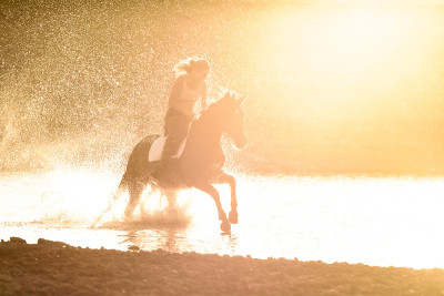 A girl rides a horse in the water along the river 