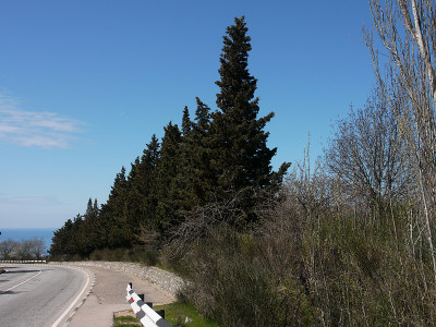 路