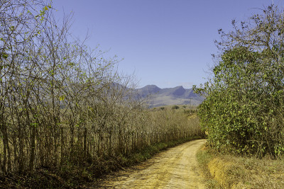 农村公路