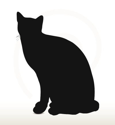 猫的侧影在坐的姿势