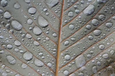 雨滴