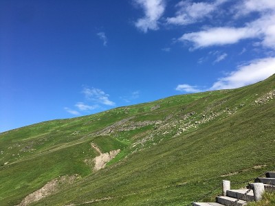 白头山的夏季景色
