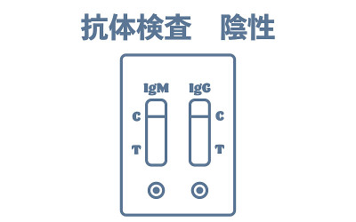 图示为阴性抗体试验