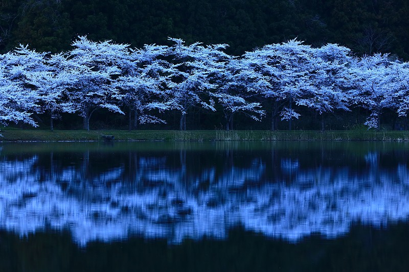 宫城县春沼泽