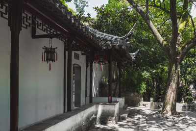 中国传统建筑在虎丘的树木之间，苏州，江苏，中国