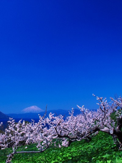 托雅湖的壮丽景色，它渴望Ezo Fuji