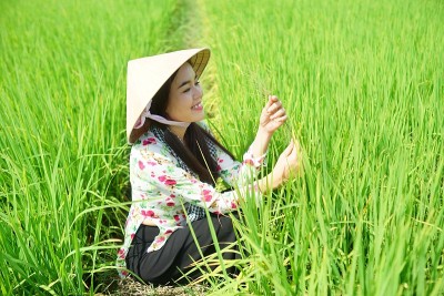 美丽的越南农民女孩
