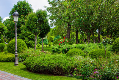 花坛里有花草灌木，公园里有铁灯柱街灯，花园里有风景，在阳光明媚的夏日里，无人问路。