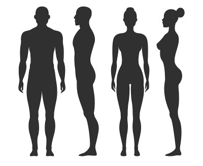 男人和女人的剪影。人体轮廓形状在侧面和正面视图。站立男女图形矢量孤立集