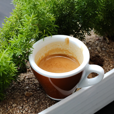 陶瓷杯装的浓缩咖啡