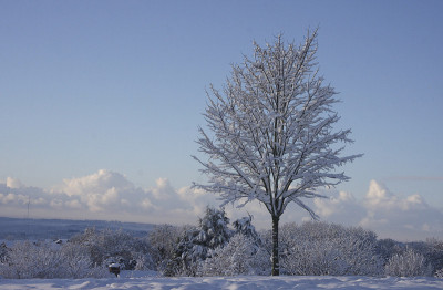 冬季雪景卡迪夫，南威尔士，英国