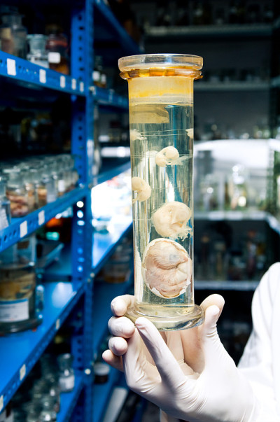 生物工艺学