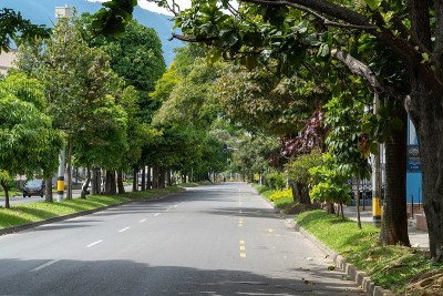 城市绿地廊道景观。