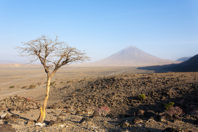 Natron湖地区景观，坦桑尼亚，非洲。伦盖火山