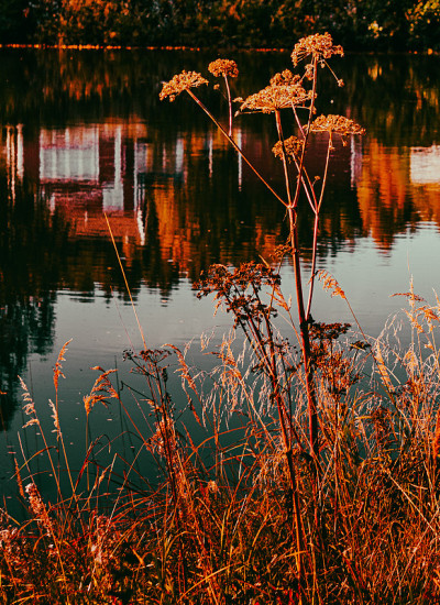 Skellefteriver