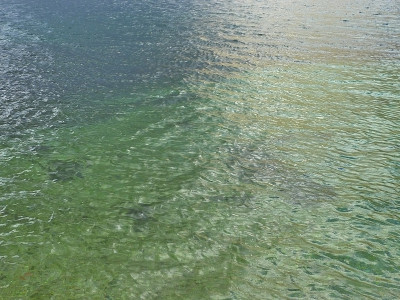 摘要水面