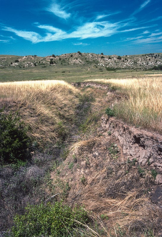 Ash Hollow州立历史公园- Oregon Trail Ruts Vertical - 199