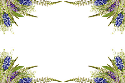 彩色的花