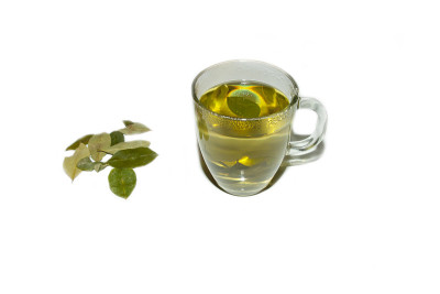 古柯叶茶
