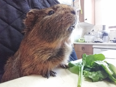 早餐时间