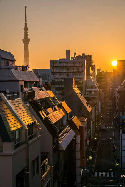 东京天空树日出上野