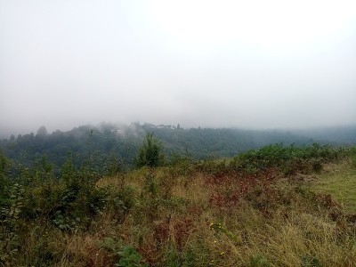 风景画和自然画