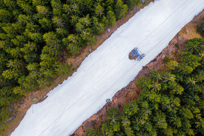 森林里的人工滑雪坡道