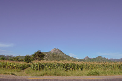 令人惊叹的非洲风景，不同形状的山，玉米地，茂盛的草地，异国情调的树木，在通往非洲马拉维的Dedza的