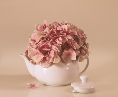 干花瓣茶壶