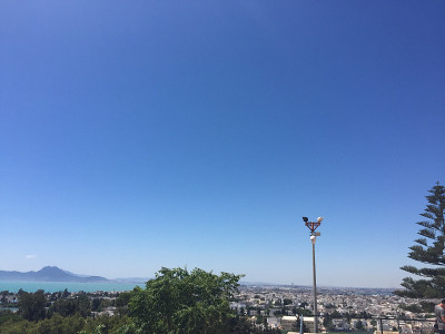 突尼斯
