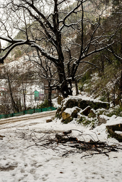 雪山覆盖的道路-雄伟的冬季景观在喜马拉雅山