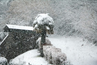 意大利马焦雷湖的斯特雷萨冬天下雪