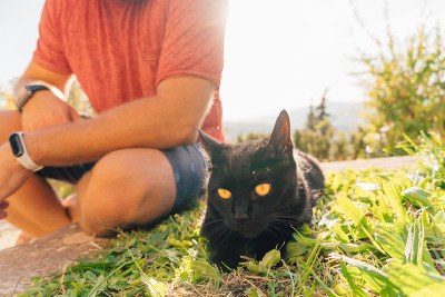 裁剪图像的人坐在他的黑猫户外