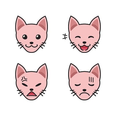 一组斯芬克斯猫的脸显示不同的情绪