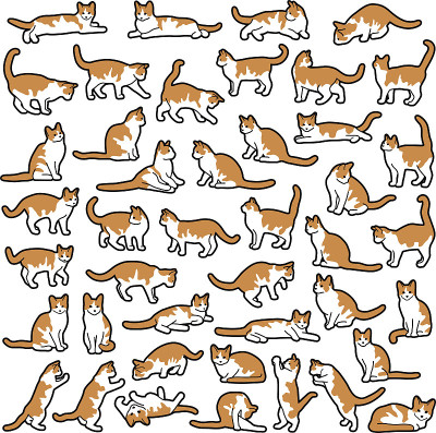 猫