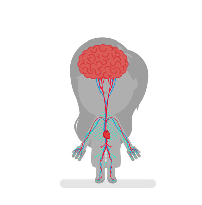 Human body anatomy vector illustration
