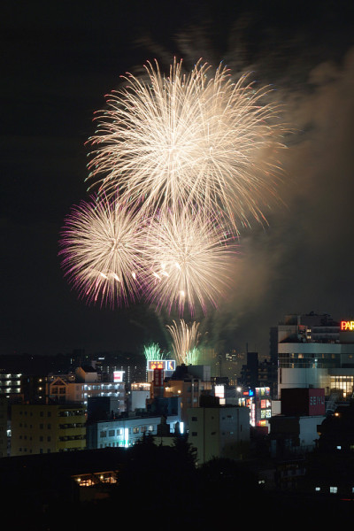 烟花的形象