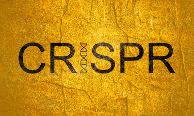 CRISPR系统用于编辑、调节和靶向基因组词