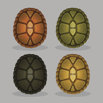 Ocean sea turtle shells