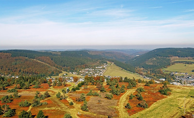 威林根全景