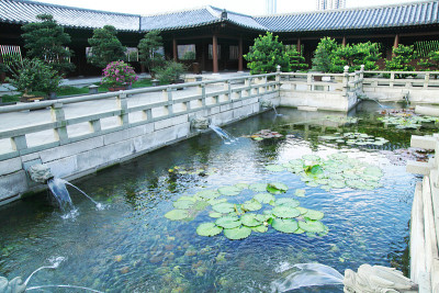中国寺庙里的莲花池。