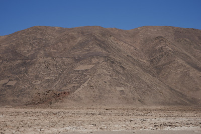 阿塔卡马沙漠Cerro Pintados的岩石雕刻