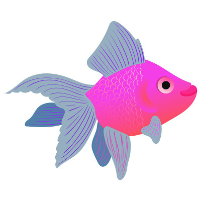 Vector illustration of a goldfish.