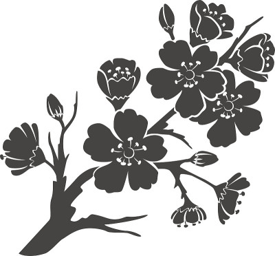 樱桃