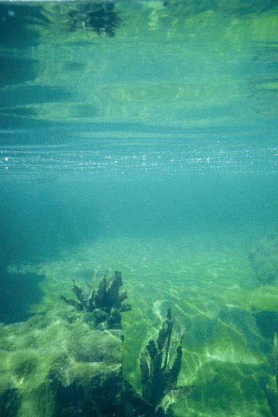 水下风景