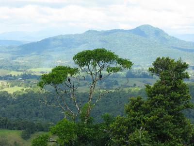 Yungaburra,阿瑟顿高地,