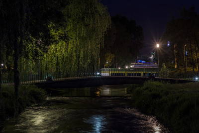 的Dommel