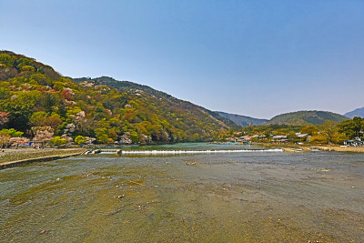 桂树河